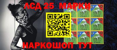 гидра Камышлов