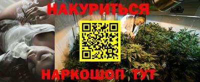 гидра Камышлов