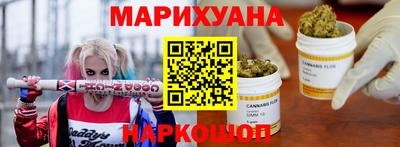гидра Камышлов