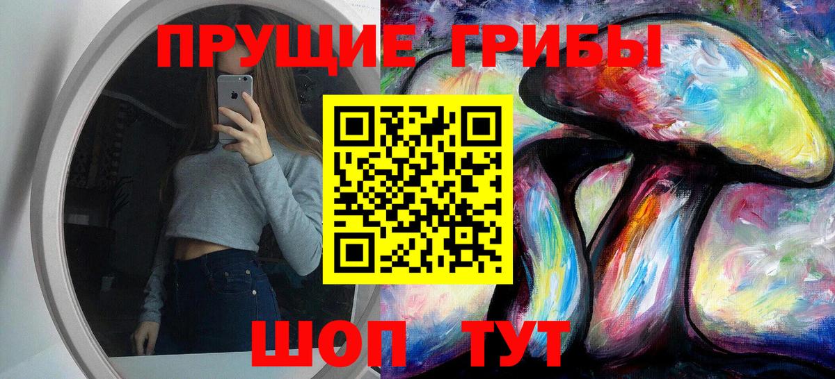 Крымск  Псилоцибиновые грибы Psilocybe  Вход с VPN 