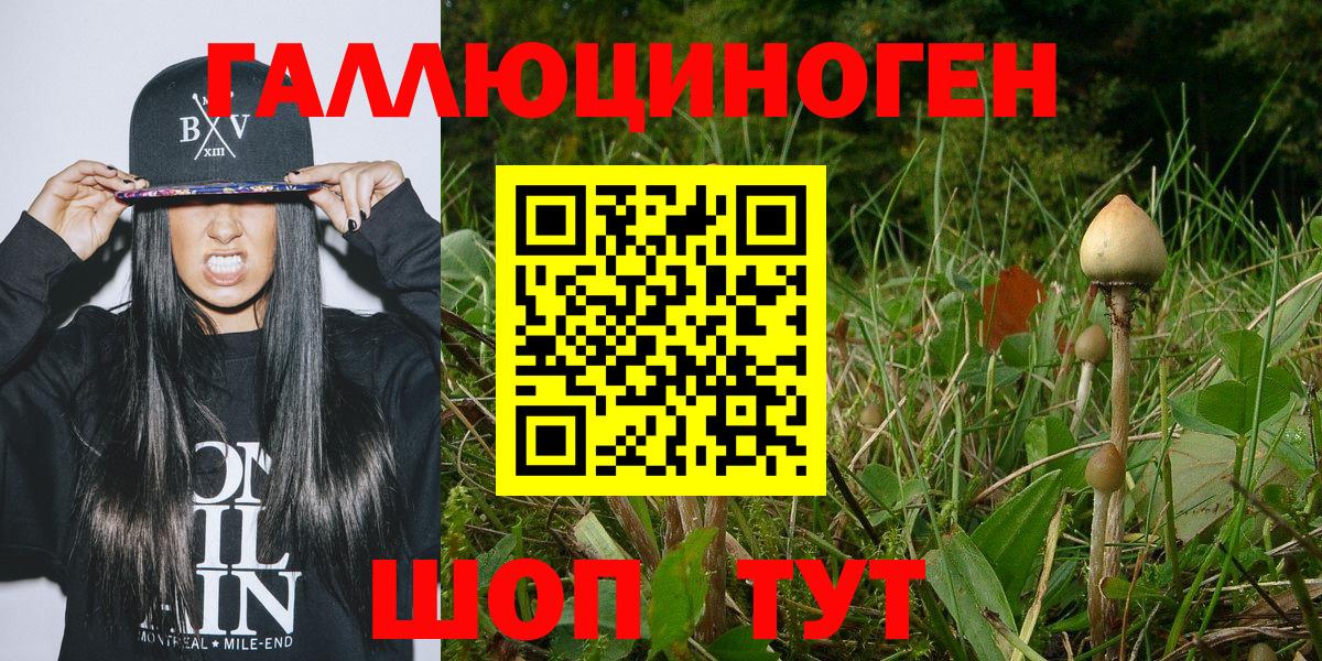 Галлюциногенные грибы мицелий  Крымск 