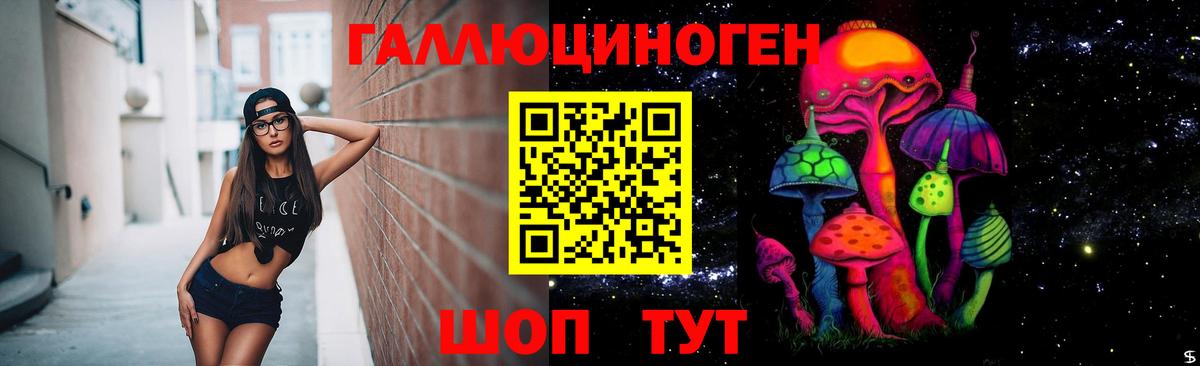 Галлюциногенные грибы Psilocybine cubensis Крымск
