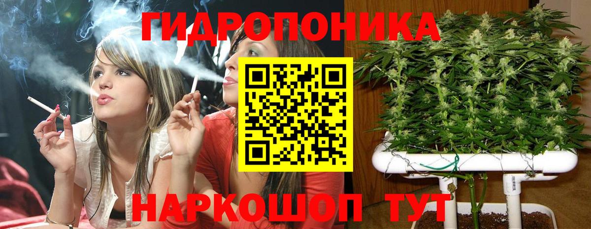 Конопля марихуана Крымск